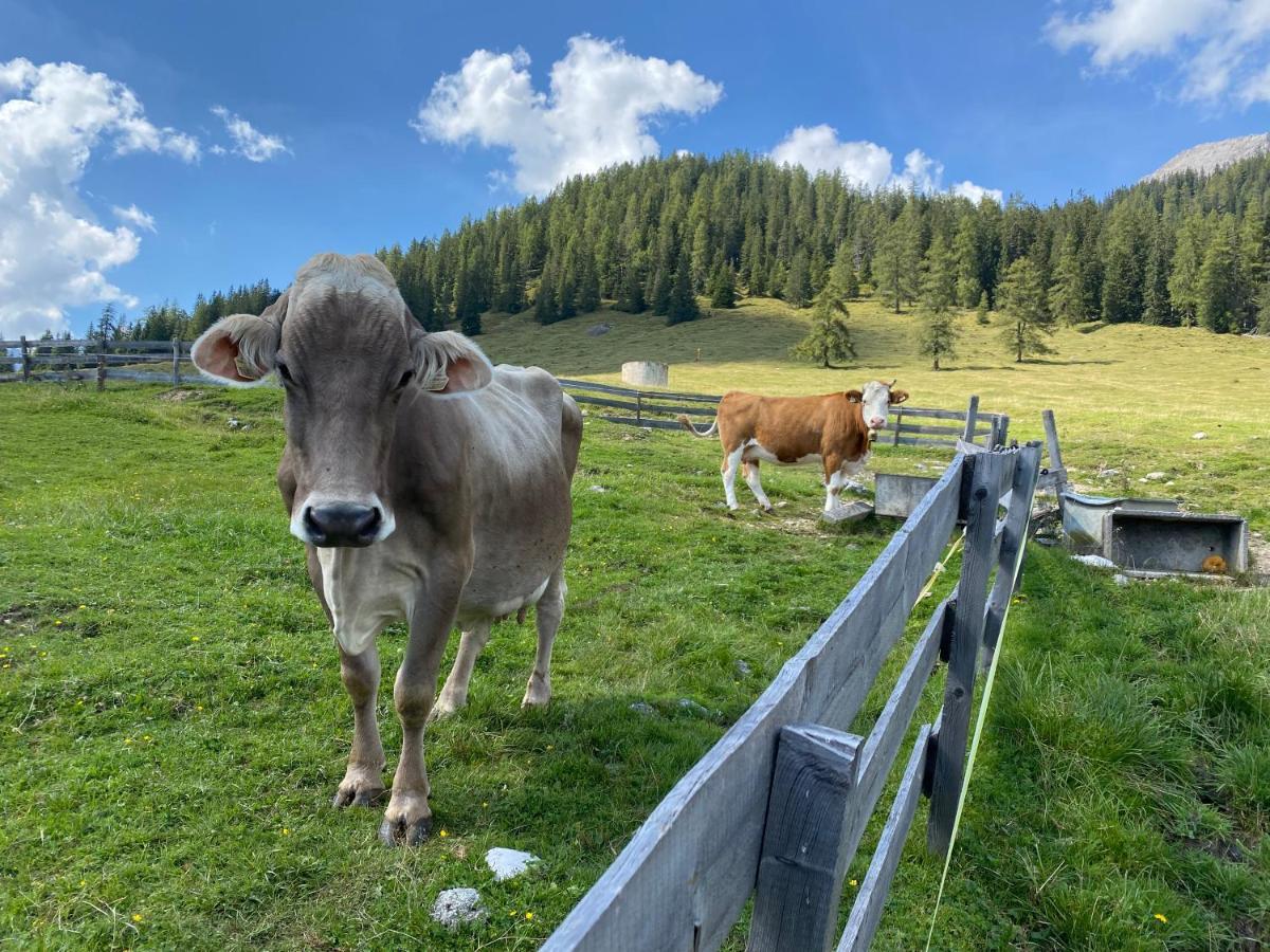 Haemmermoosalm Leutasch Buitenkant foto